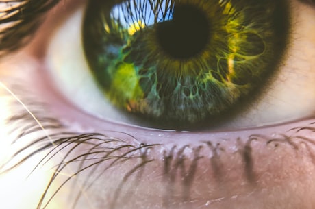 资深眼科专家陶勇医生分享：保护眼睛的小常识